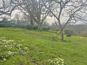 Photo 45- click for photo gallery